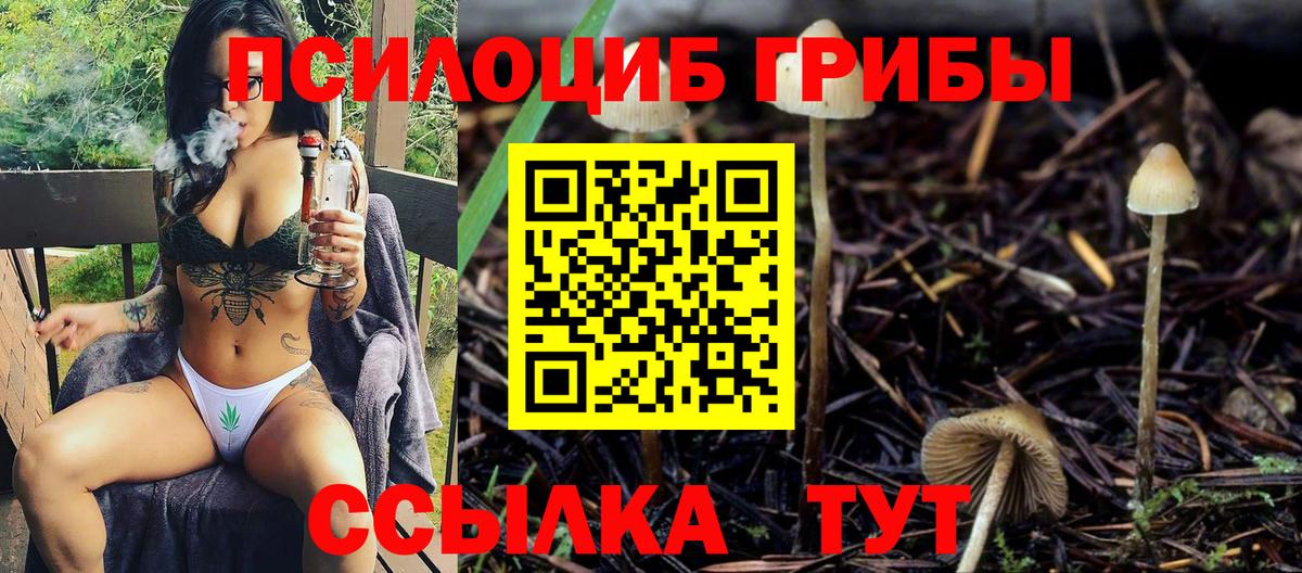 Галлюциногенные грибы Cubensis Димитровград