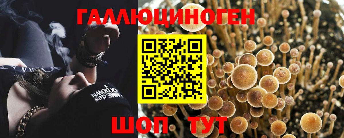 Псилоцибиновые грибы Magic Shrooms  Вход с VPN  Псилоцибиновые грибы Magic Shrooms  Димитровград 